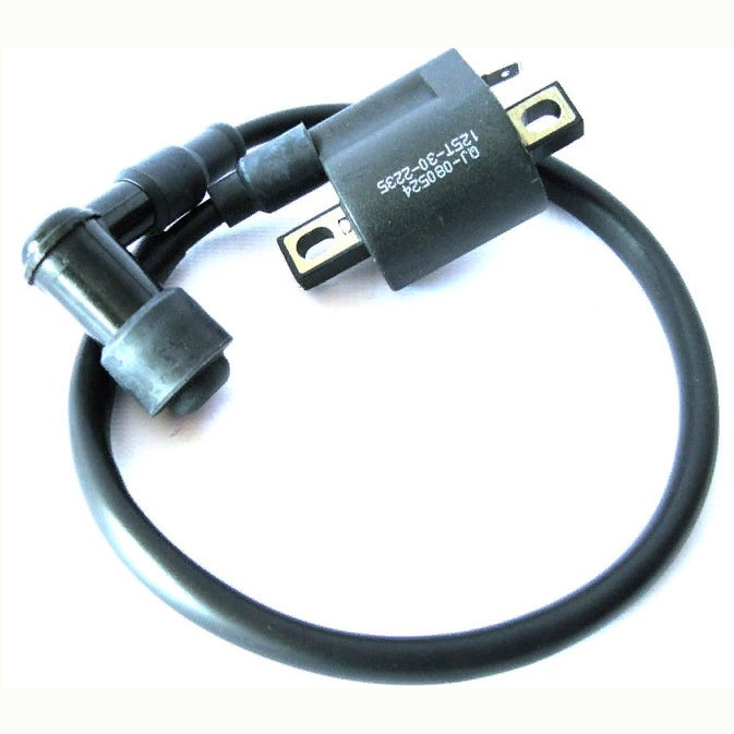 Катушка зажигания 12В (QJ-080524 125T-30-2235) 96200JX0T000 LU029481