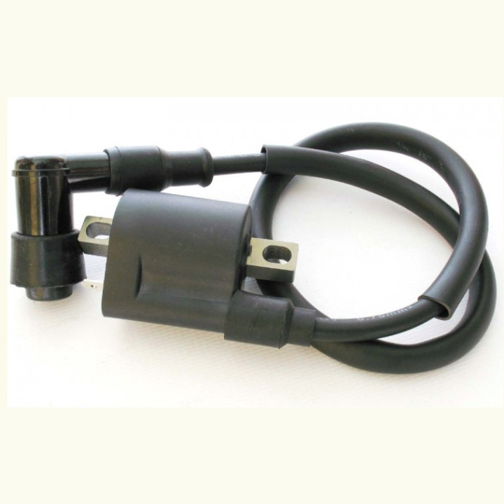 Катушка зажигания 12В S-P59E010 LU040546